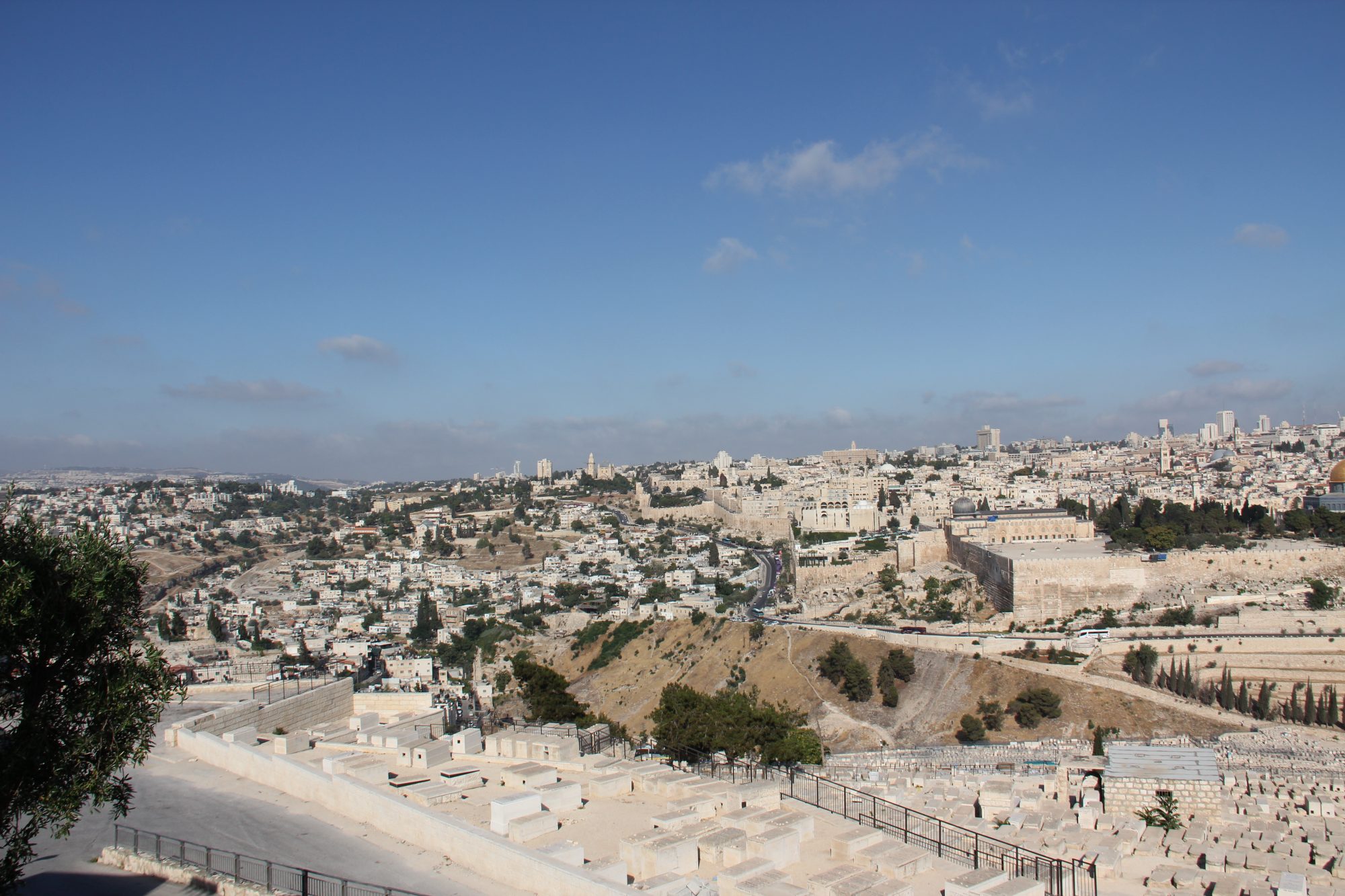 Mount of Olives 10